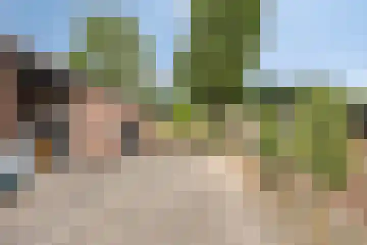 Zwingel 7 Zeeland thumbnail 16