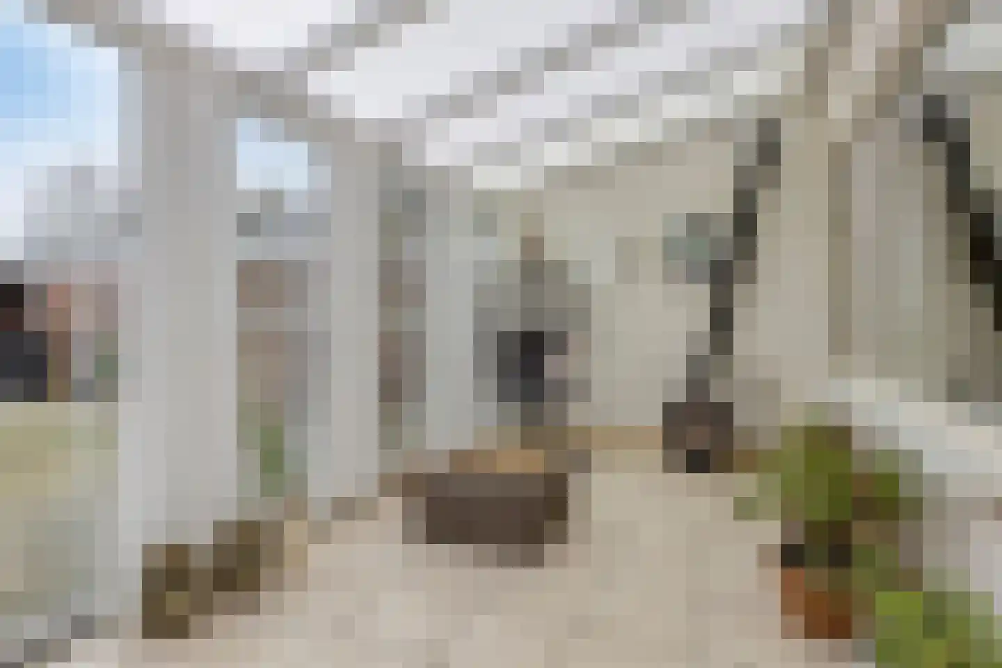 Zwingel 7 Zeeland thumbnail 18