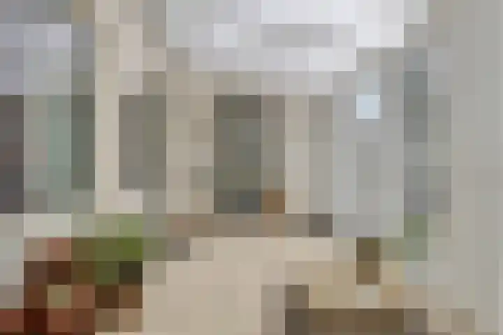 Zwingel 7 Zeeland thumbnail 19