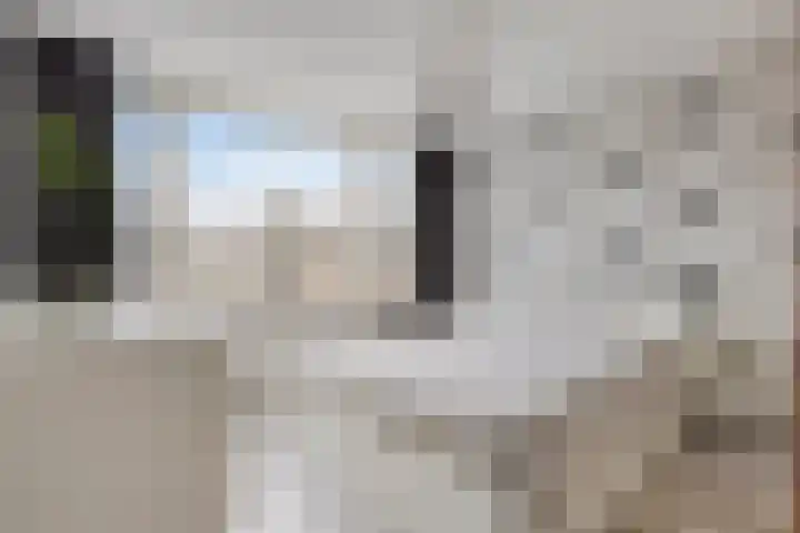 Zwingel 7 Zeeland thumbnail 21