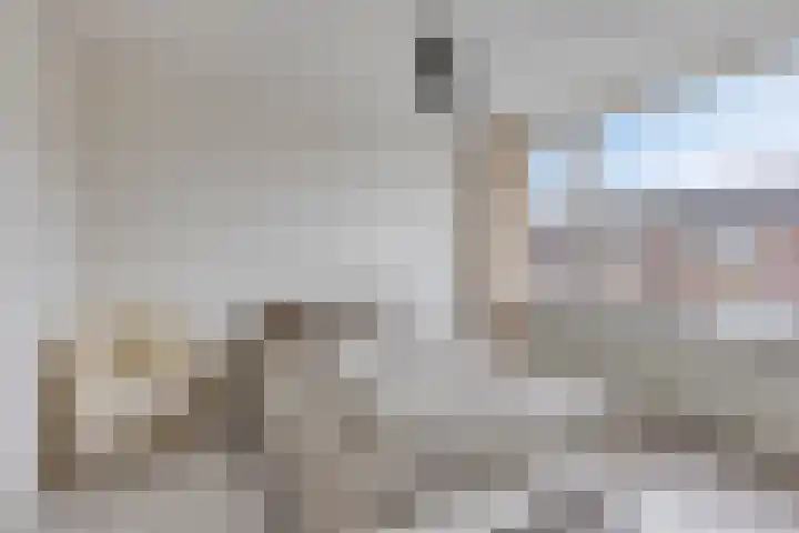 Zwingel 7 Zeeland thumbnail 26