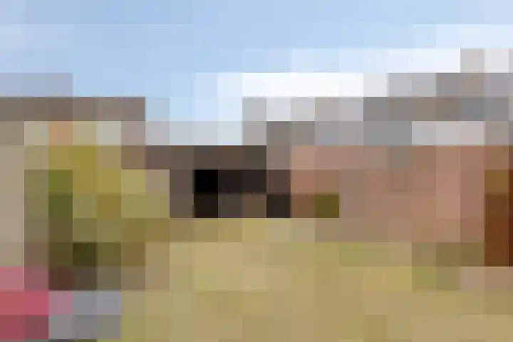 Zwingel 7 Zeeland thumbnail 31
