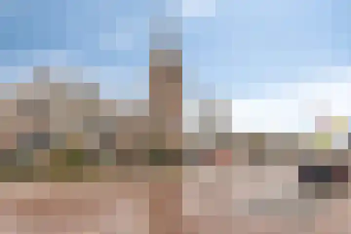 Zwingel 7 Zeeland thumbnail 34
