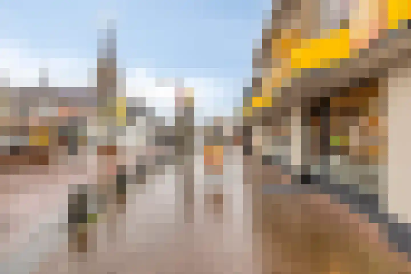 Zwingel 7 Zeeland thumbnail 36