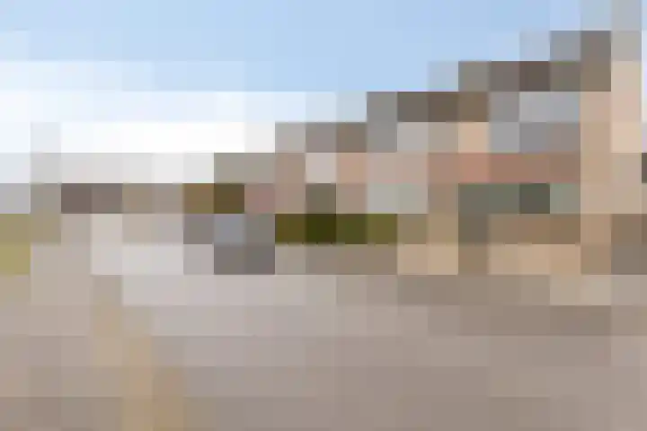 Zwingel 7 Zeeland thumbnail 37