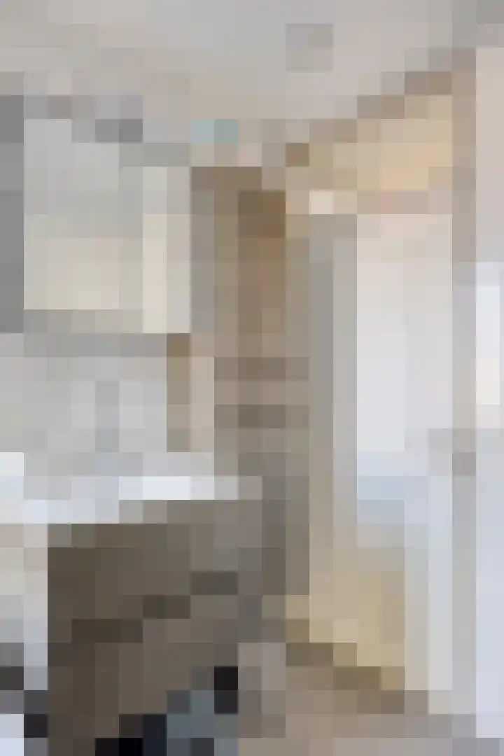 Zwingelhof 16 Schaijk thumbnail 13