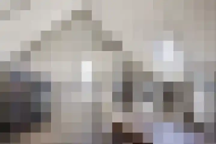 Zwingelhof 16 Schaijk thumbnail 17