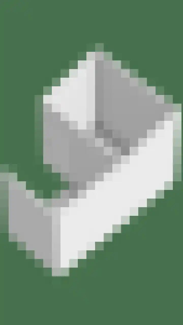 Zwingelhof 16 Schaijk thumbnail 32