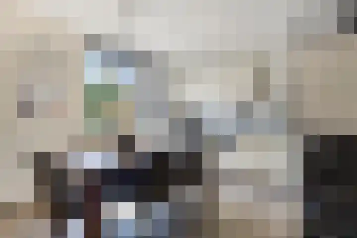 Zwingelhof 16 Schaijk thumbnail 7