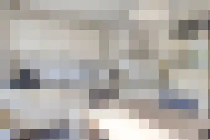 Zwingelhof 16 Schaijk thumbnail 9