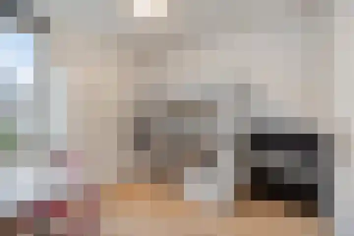 Zwingelhof 8 Schaijk thumbnail 17