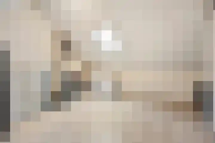 Zwingelhof 8 Schaijk thumbnail 20