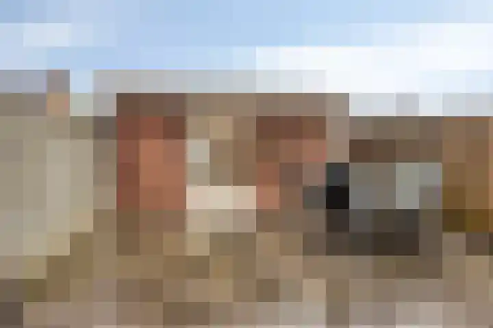 Zwingelhof 8 Schaijk thumbnail 22