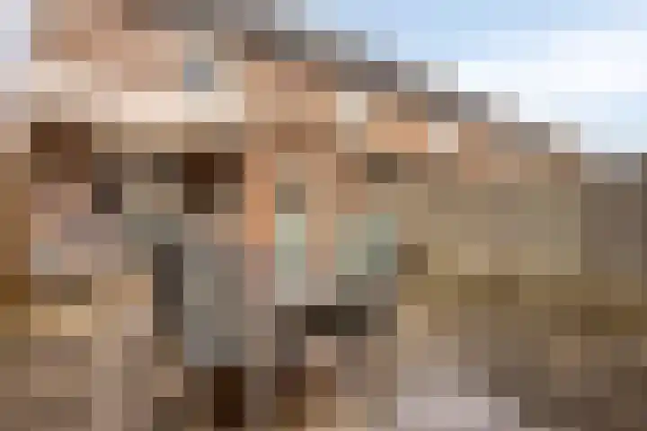 Zwingelhof 8 Schaijk thumbnail 23