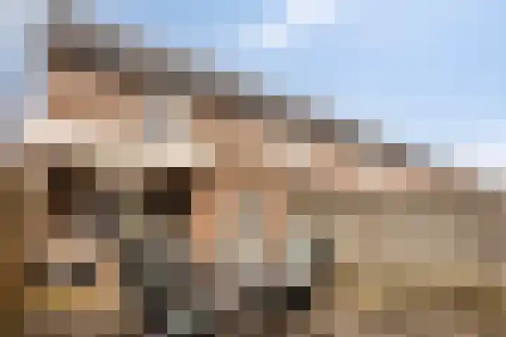 Zwingelhof 8 Schaijk thumbnail 24