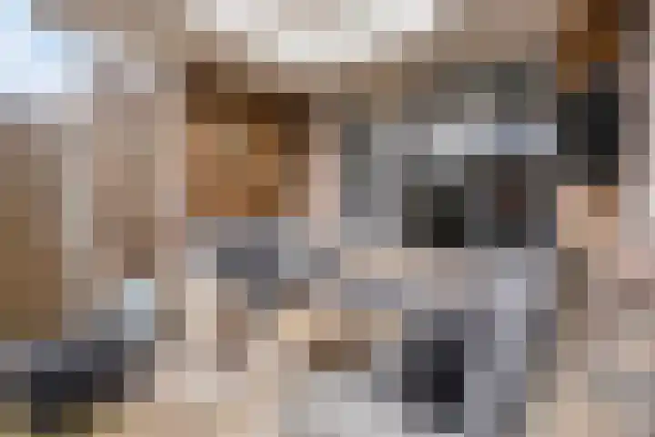 Zwingelhof 8 Schaijk thumbnail 25