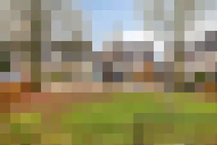 Zwingelhof 8 Schaijk thumbnail 29