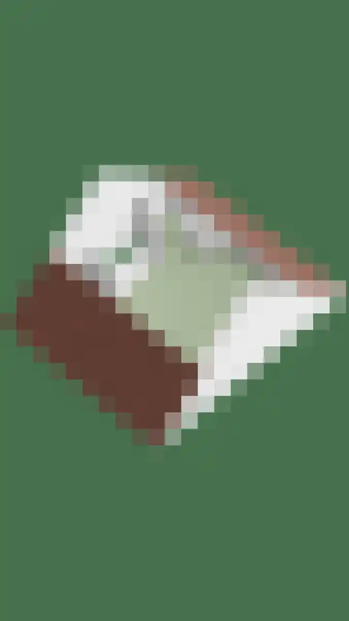 Zwingelhof 8 Schaijk thumbnail 37