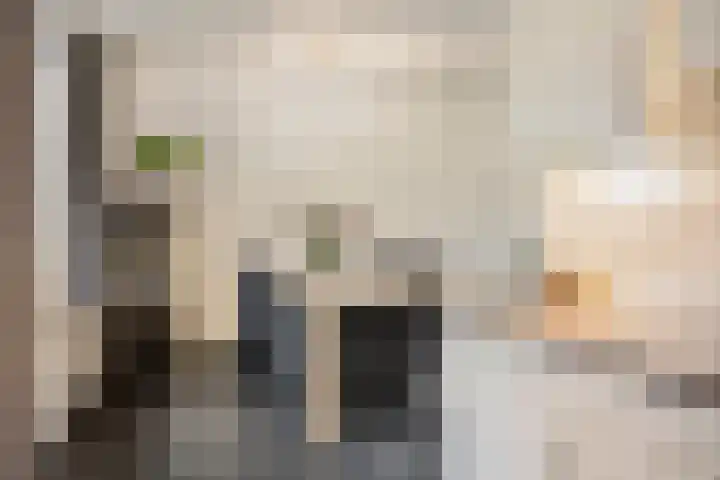 Zwingelhof 8 Schaijk thumbnail 9