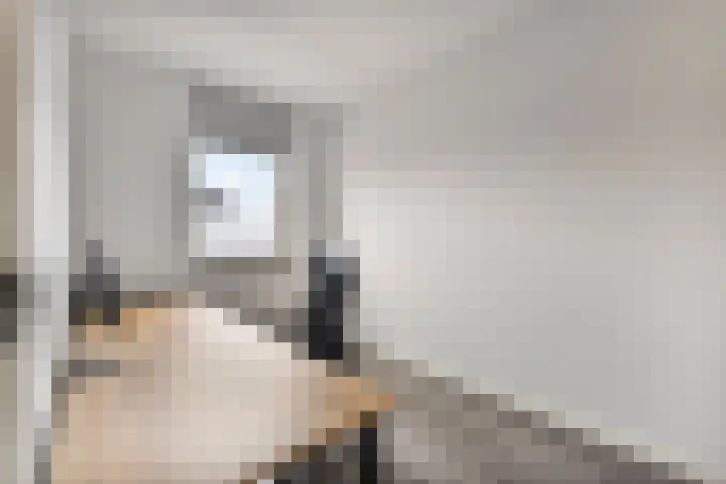 Zwingellaan 9 Melderslo thumbnail 18