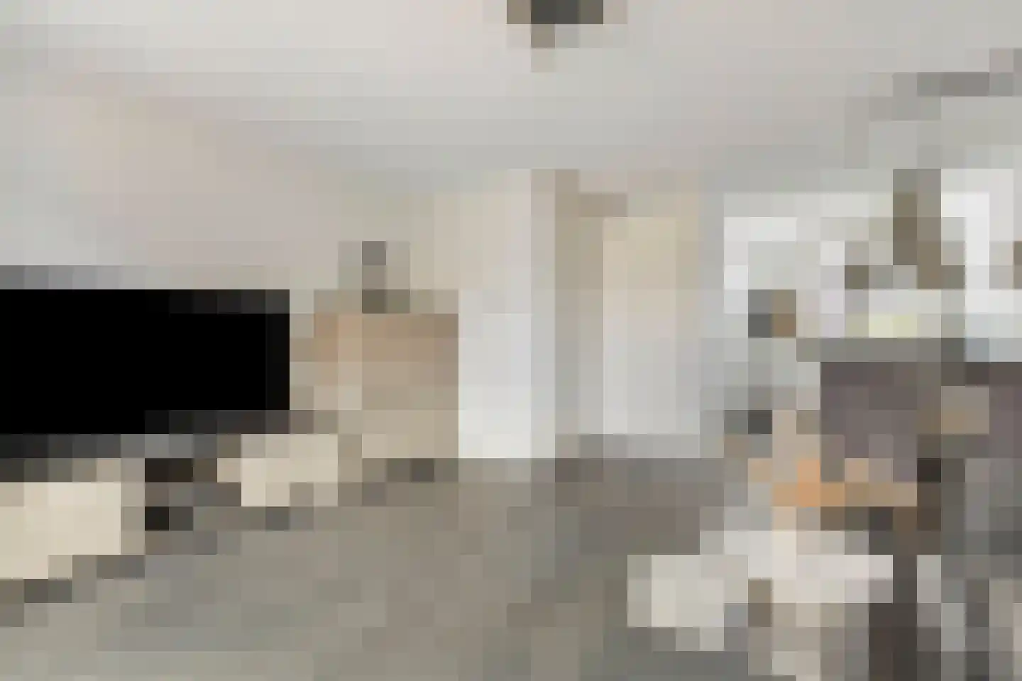 Zwingellaan 9 Melderslo thumbnail 6