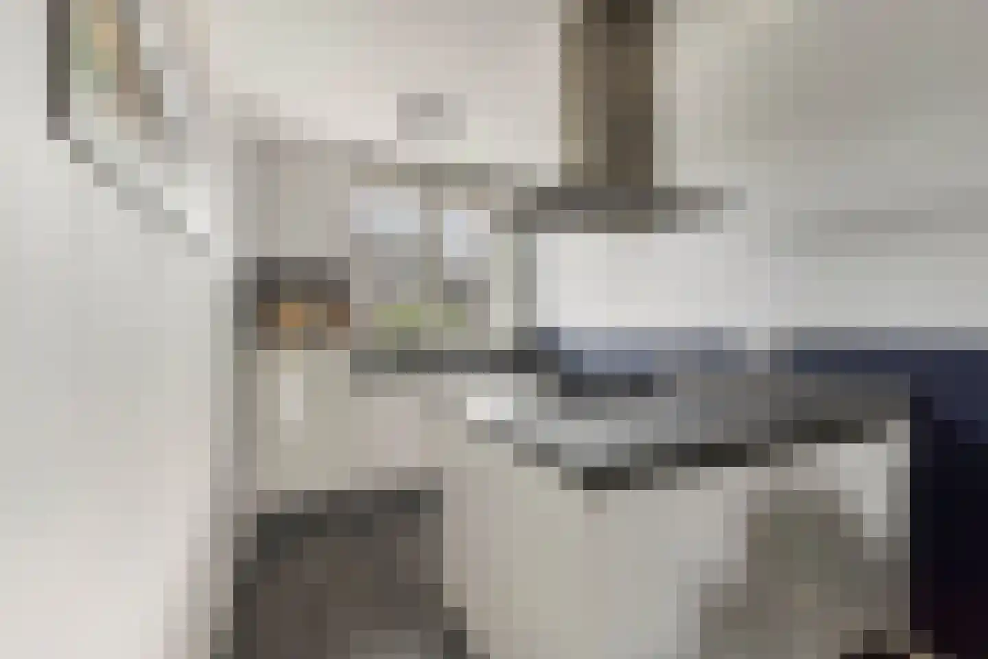 Zwingellaan 9 Melderslo thumbnail 7