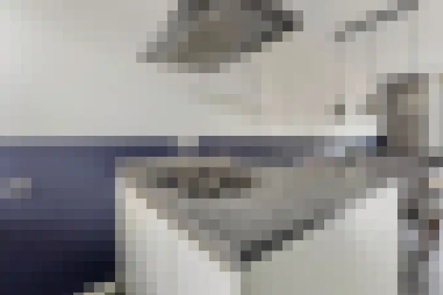 Zwingellaan 9 Melderslo thumbnail 8