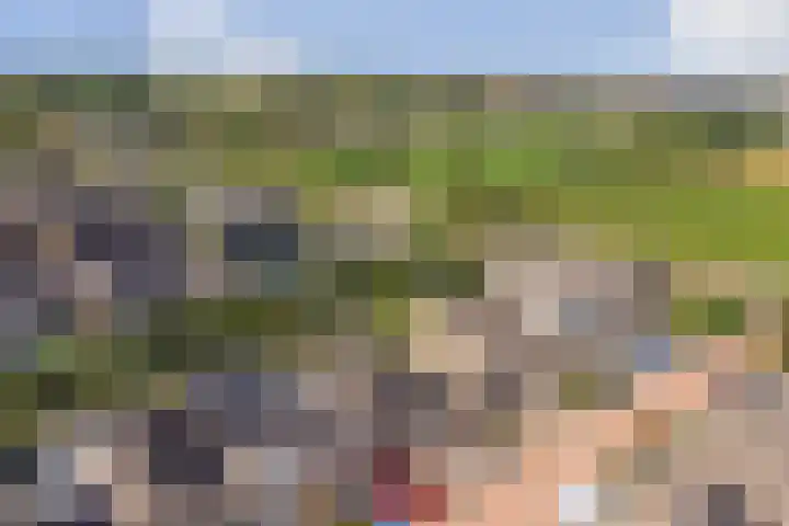 Zwingelmolen 6 Zevenbergschen Hoek thumbnail 32