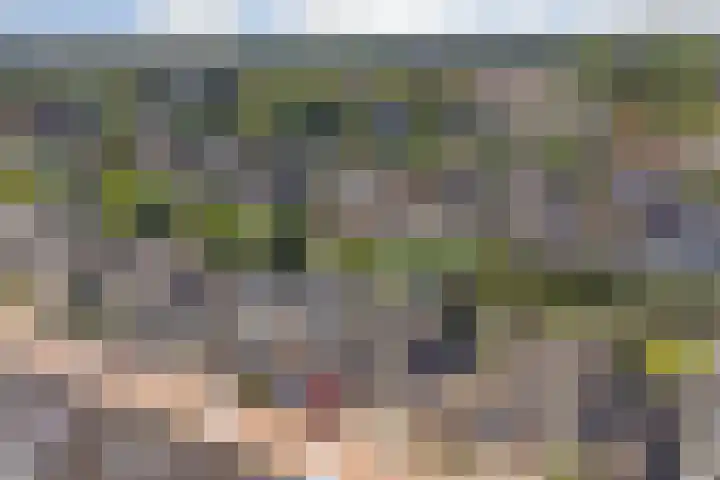 Zwingelmolen 6 Zevenbergschen Hoek thumbnail 33