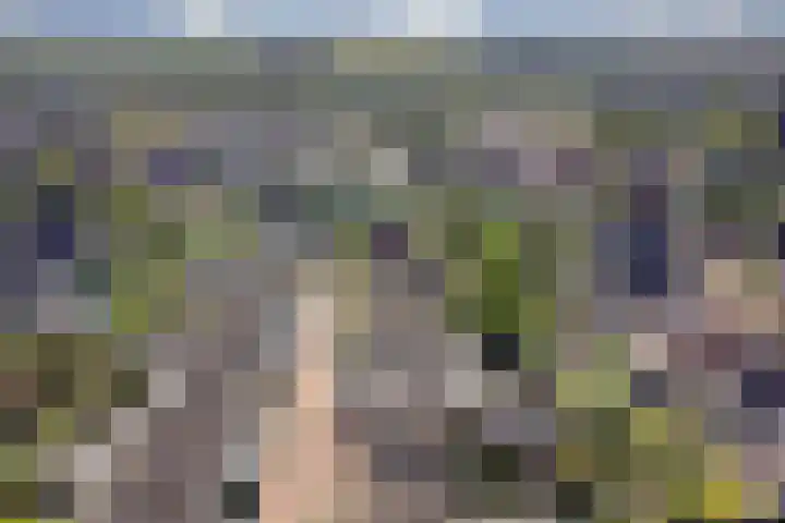 Zwingelmolen 6 Zevenbergschen Hoek thumbnail 34