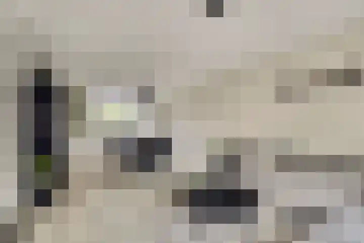 Zwingelmolen 6 Zevenbergschen Hoek thumbnail 4