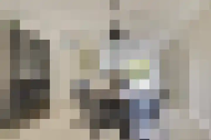 Zwingelmolen 6 Zevenbergschen Hoek thumbnail 5
