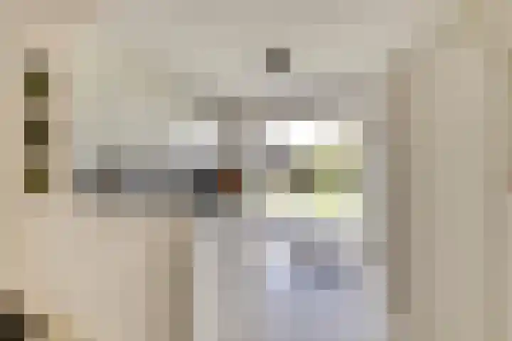 Zwingelmolen 6 Zevenbergschen Hoek thumbnail 7