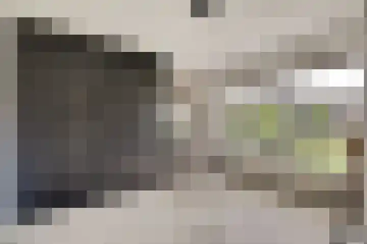 Zwingelmolen 6 Zevenbergschen Hoek thumbnail 9
