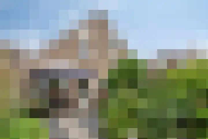 Zwingelstraat 11 Dinteloord thumbnail 15