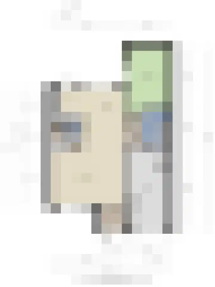 Zwingelstraat 11 Dinteloord thumbnail 17