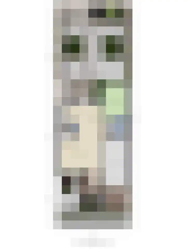Zwingelstraat 11 Dinteloord thumbnail 20