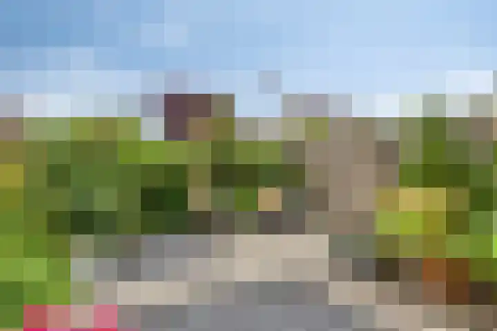 Zwingelstraat 11 Dinteloord thumbnail 4