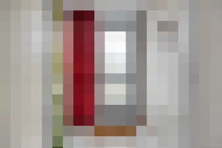 Zwingelstraat 11 Dinteloord thumbnail 5