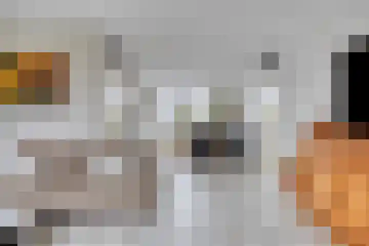 Zwingelstraat 11 Dinteloord thumbnail 6