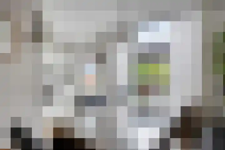 Zwingelstraat 11 Dinteloord thumbnail 7