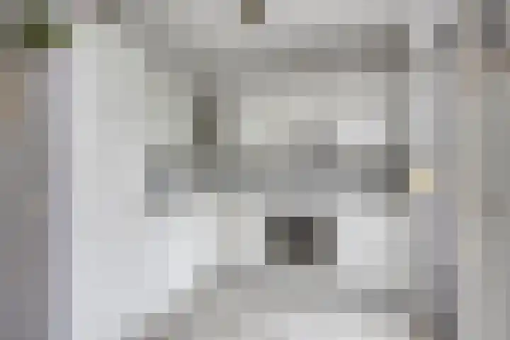 Zwingelstraat 11 Dinteloord thumbnail 8