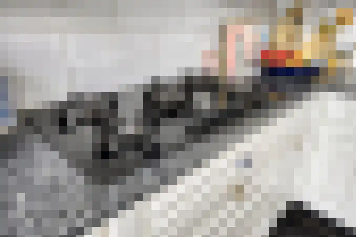 Zwingelstraat 15 Oss thumbnail 17