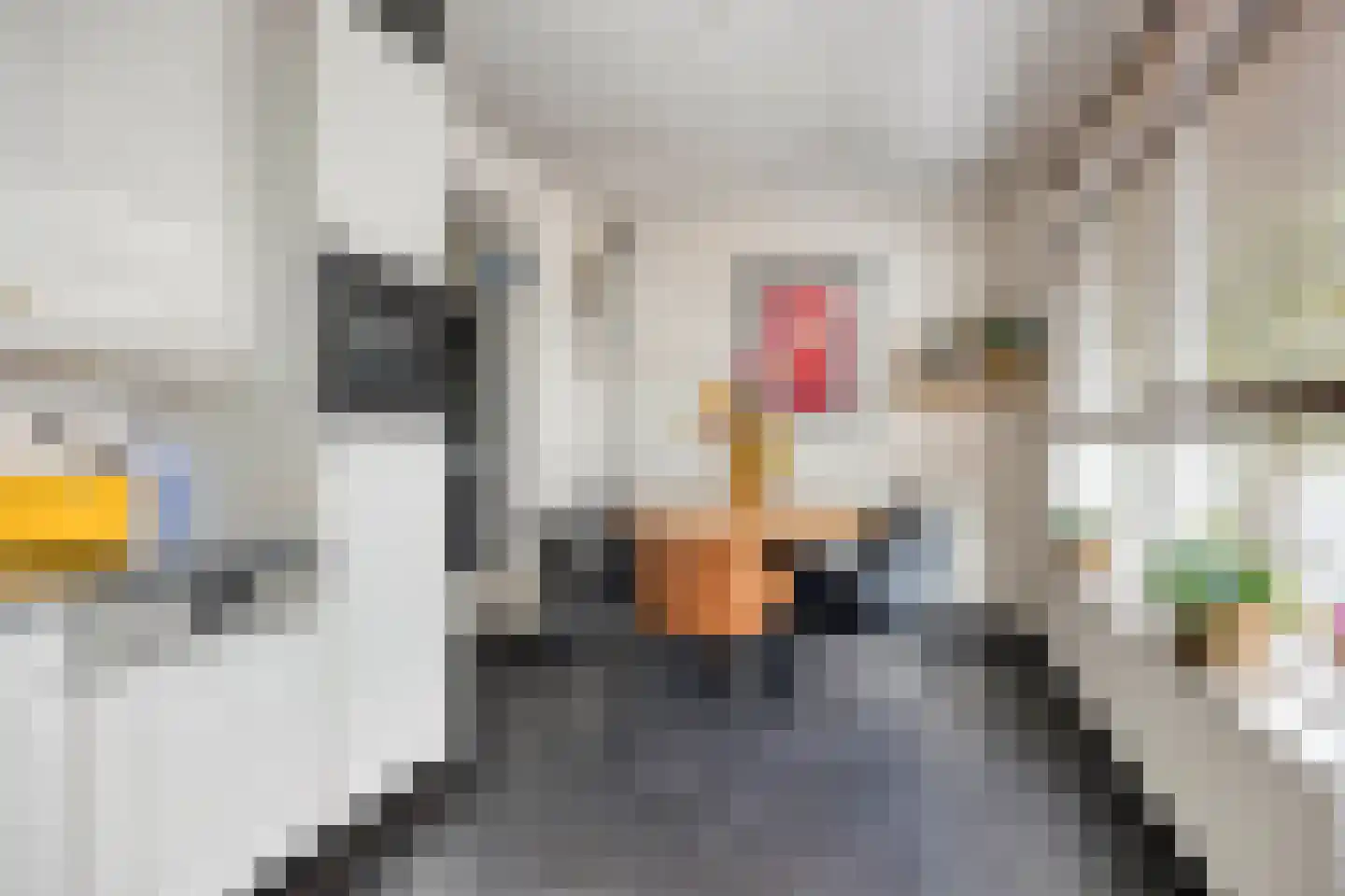 Zwingelstraat 15 Oss thumbnail 19