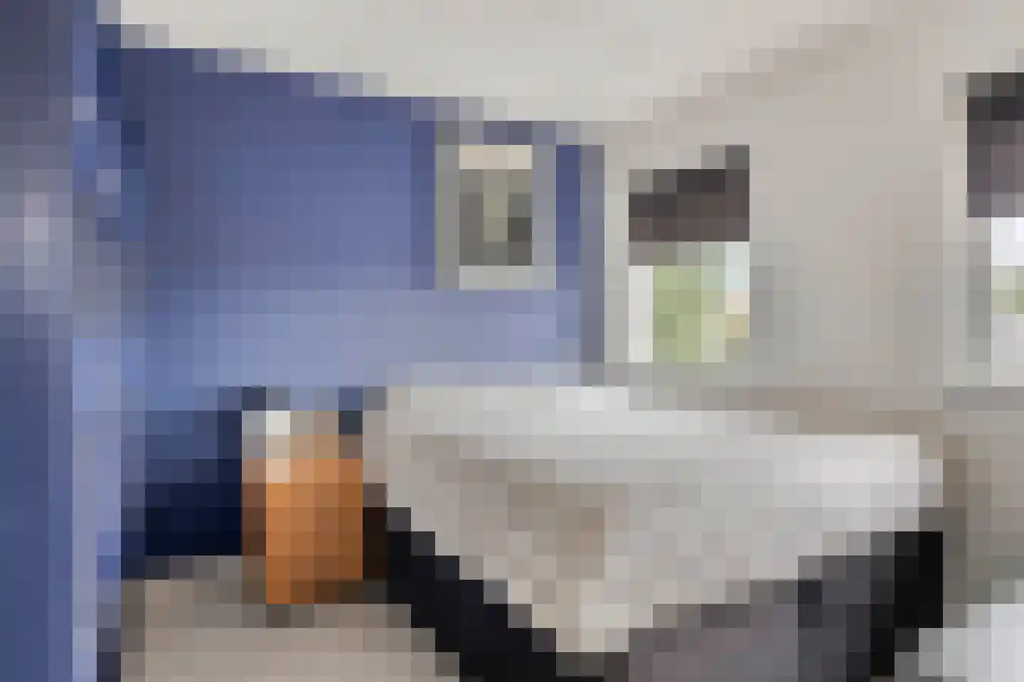 Zwingelstraat 15 Oss thumbnail 28