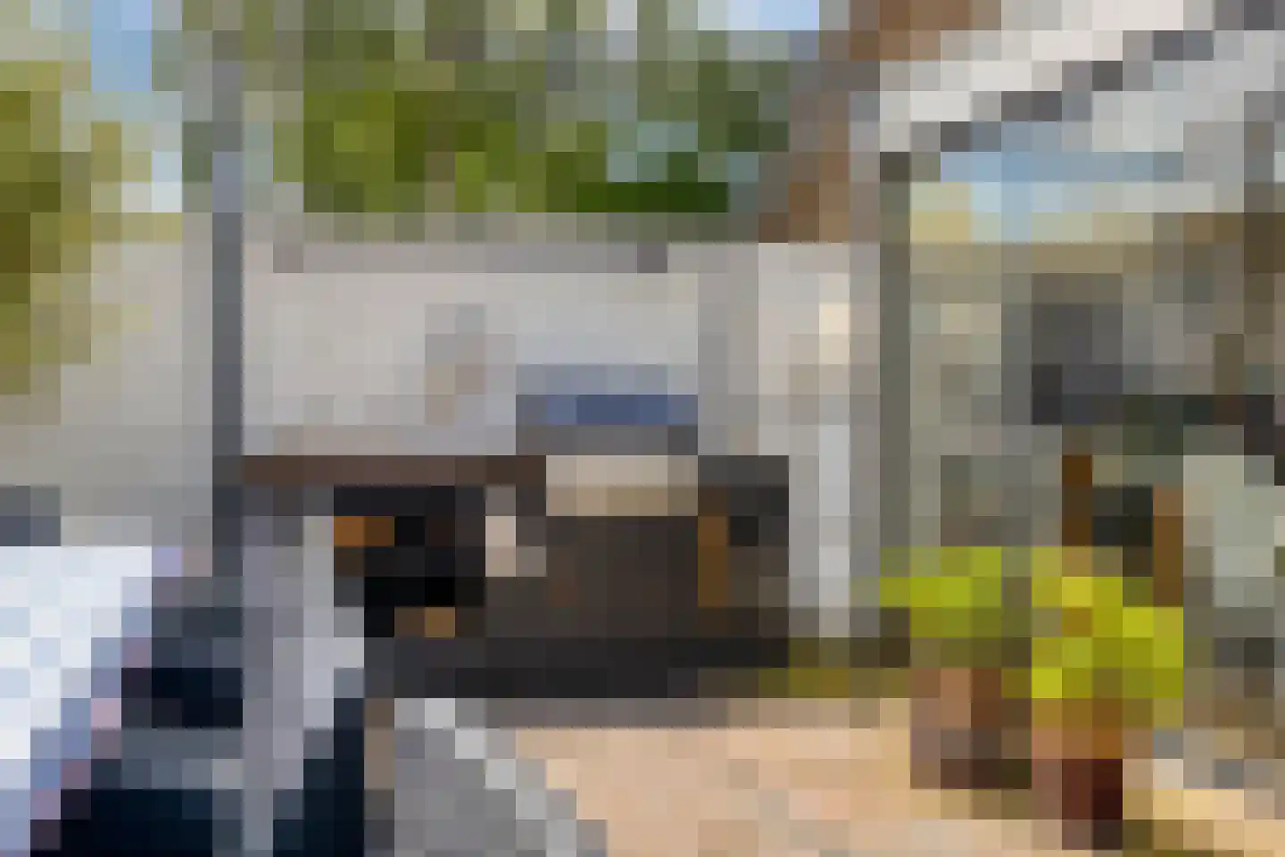 Zwingelstraat 15 Oss thumbnail 31