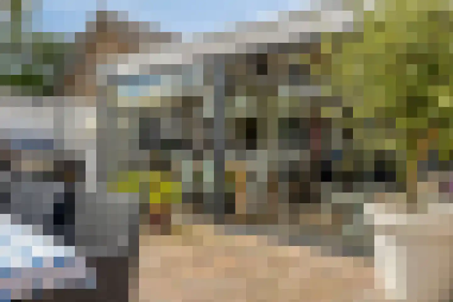 Zwingelstraat 15 Oss thumbnail 32