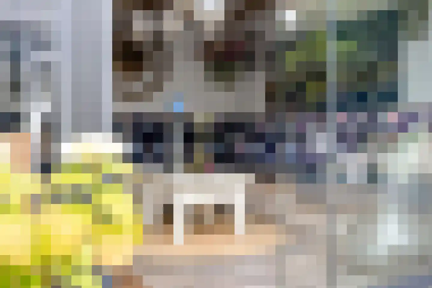 Zwingelstraat 15 Oss thumbnail 33