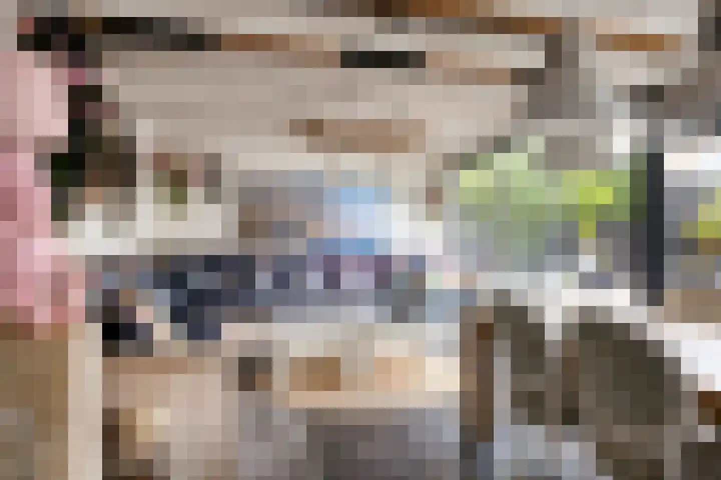 Zwingelstraat 15 Oss thumbnail 34