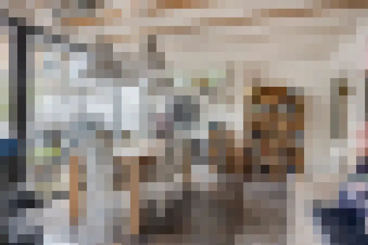 Zwingelstraat 15 Oss thumbnail 35